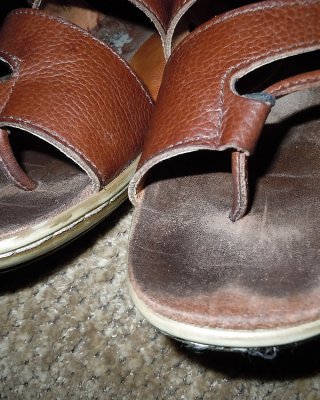 Wifes Schuhe #28340427