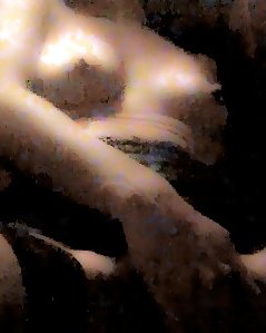 Sex #40717977