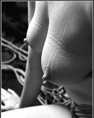 Black and White 990! #36738401