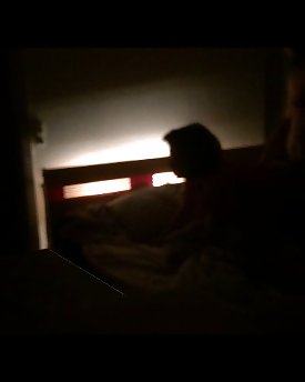 朝陰熟女ドギマギ
 #31655745