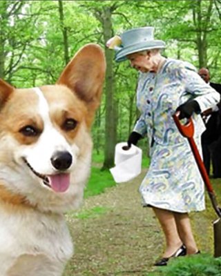 Ihre Majestät Die Königin-num-001 #27887496
