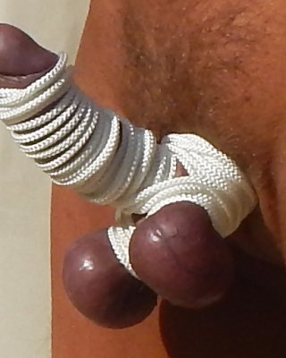 Noch Folterte Hähne Und Bälle #32312143