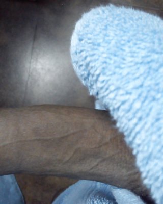 Bongo's dongo
 #29020201