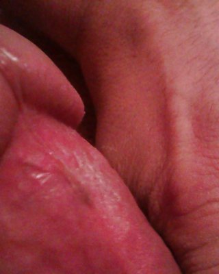Entspannende Hahn #31542672