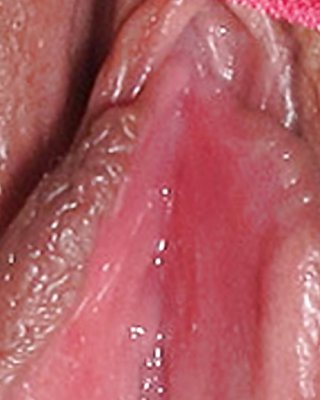 Sweet delicious cream pussys upclose and personal #35504830