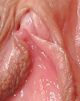 Sweet delicious cream pussys upclose and personal #35504832