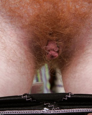 Thick Hairy Bush Close UPS