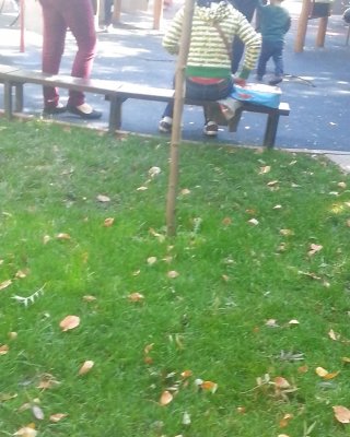 Höschen Parck Rumänisches Mädchen #23870167