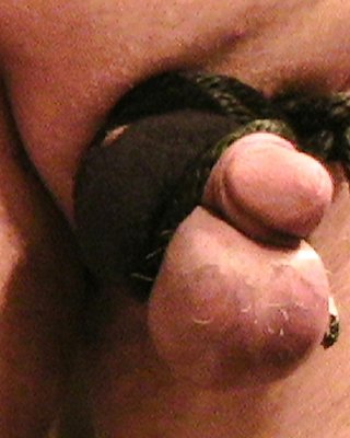 Cbt #30711622