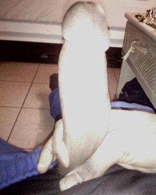 Big Dick Nigga #36301126