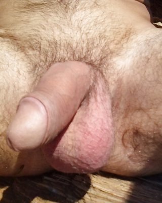 Meer #33207865