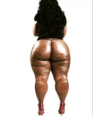 Nur Reine Ass Vol.37 #27898454