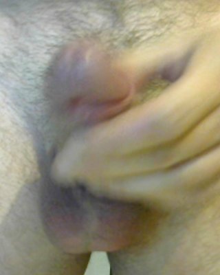 Cockringed Hahn #28176335