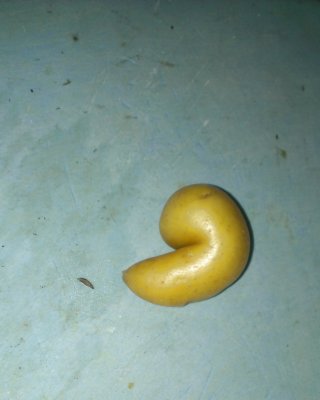 Produzieren Porn #37481268