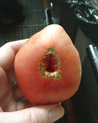 Produzieren Porn #37481269