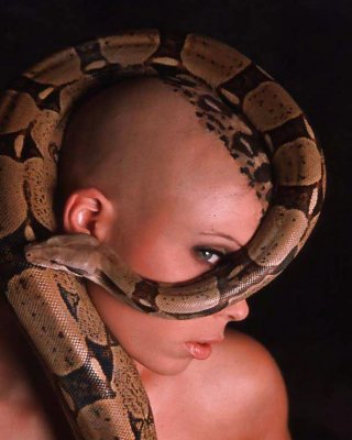 Exotische Babe Wa Python Auf Ihren Heißen Körper #36474131