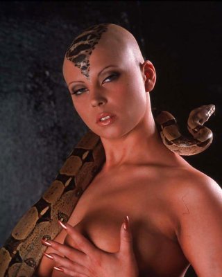 Exotische Babe Wa Python Auf Ihren Heißen Körper #36474137