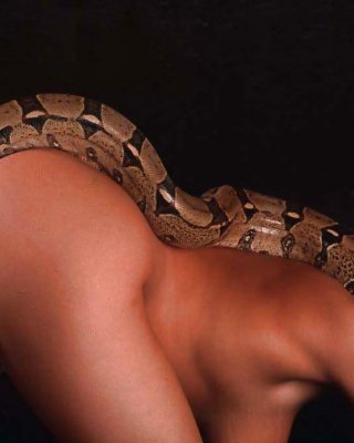 Exotische Babe Wa Python Auf Ihren Heißen Körper #36474169