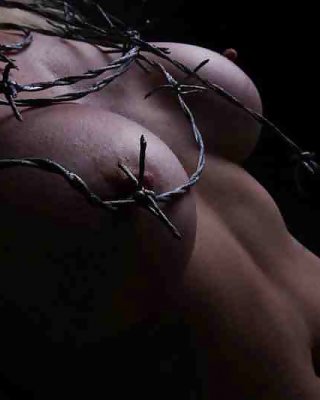 Barbed Wire - Barbed Wire Porn Pictures, XXX Photos, Sex Images #2171027 - PICTOA