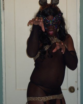 Bad Kitty Ruinen !!! #30154937