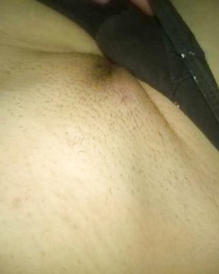 Muschi #38580293