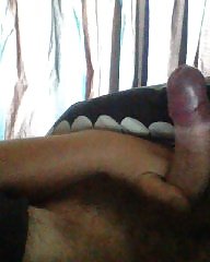 Mein 5.8 Hahn #38975730