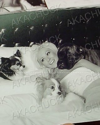 Christina aguilera - mega collection 3
 #23158411