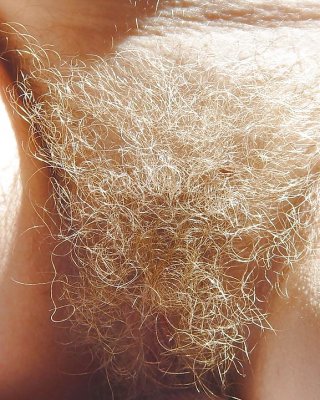 Blonde Muschi #39075028