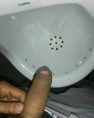 Mein Schwanz Meinen Schwanz Rollt #39583643