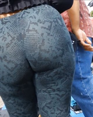 Big Booty Latina