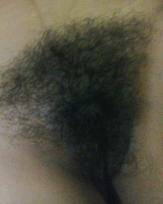 Mein Alter Will Hahn #26539811