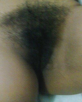 Mein Alter Will Hahn #26539815