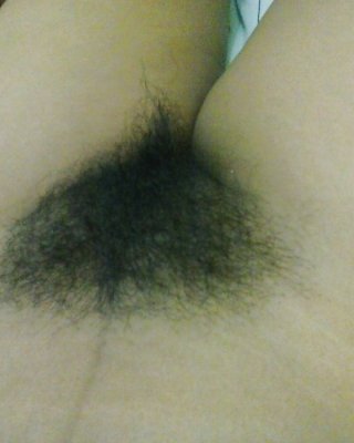 Mein Alter Will Hahn #26539862
