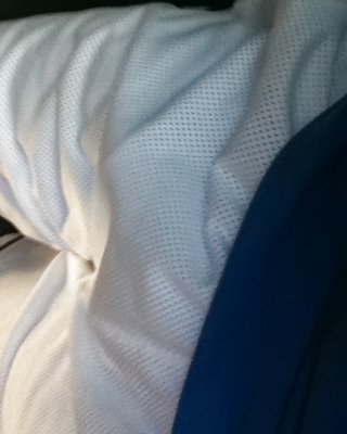 Schwanz Bilder Auf Dem Bus #36827640