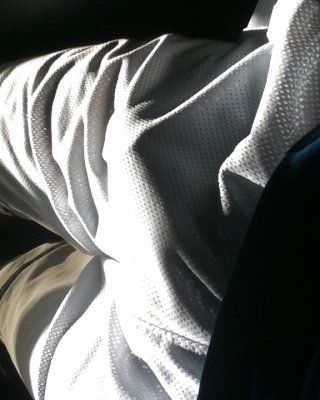 Schwanz Bilder Auf Dem Bus #36827646