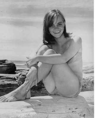 Sally Feld #27678535