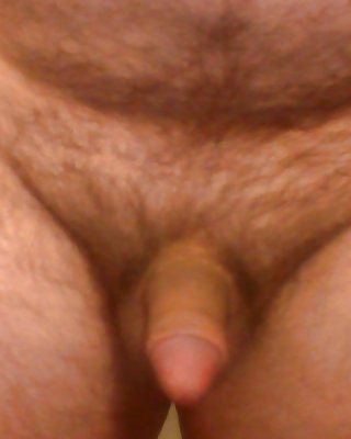 Meine Riesigen Schwanz Und Hodensack #32508374