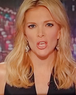 NEW MEGYN KELLY MOUTH