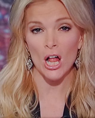 NEW MEGYN KELLY MOUTH