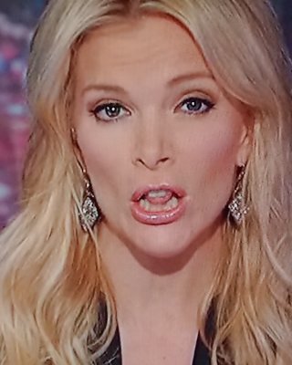 NEW MEGYN KELLY MOUTH