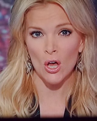 NEW MEGYN KELLY MOUTH