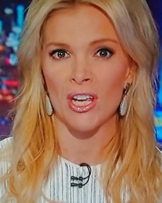 NEW MEGYN KELLY MOUTH