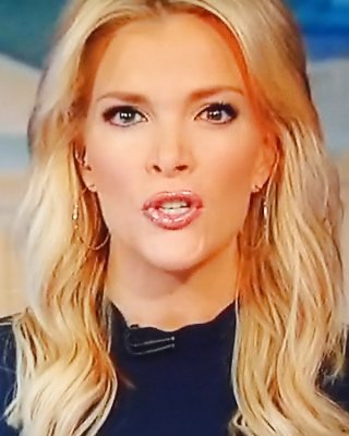 NEW MEGYN KELLY MOUTH