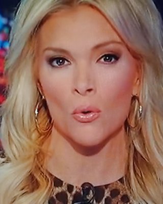 NEW MEGYN KELLY MOUTH