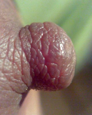 Areolas pezones tetas caídas
 #29145100