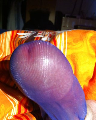 Verpackt Er Schwanz  #34799853