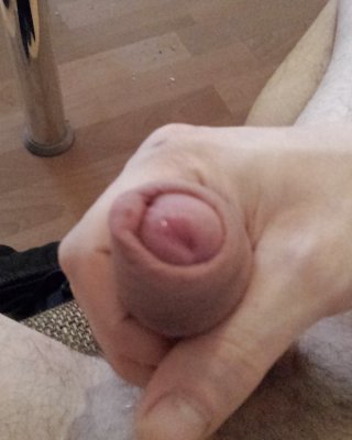 Mein Schwanz #35002878