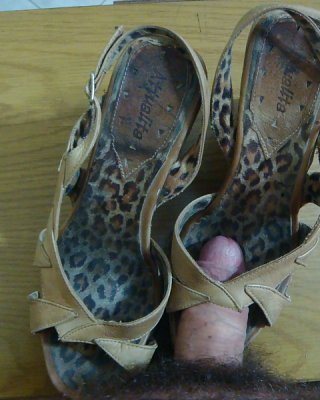 サンダルを履く
 #31437508