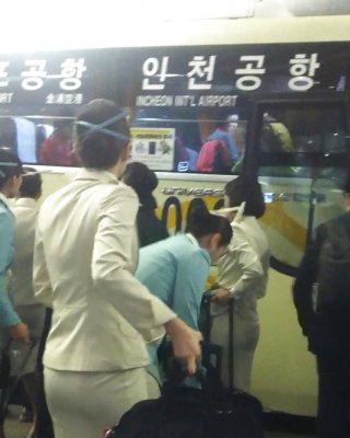 Korean Stewardess In Der Öffentlichkeit #28189524