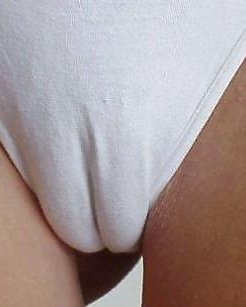 Camel Toe - Wie Geil Ist Das Denn? 1